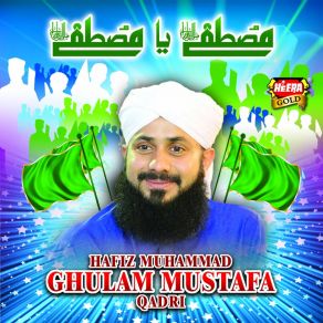 Download track Mujhe Bheek Do Hafiz Muhammad Ghulam Mustafa Qadri