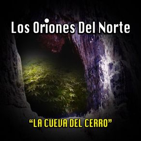 Download track La Imagen De Malverde Los Oriones Del Norte