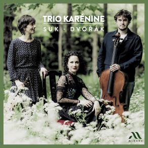 Download track Dvořák: Piano Trio In F Minor No. 3, Op. 65: II. Allegretto Grazioso Trio Karénine