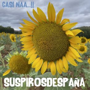 Download track Palabras SUSPIROSDESPAÑA