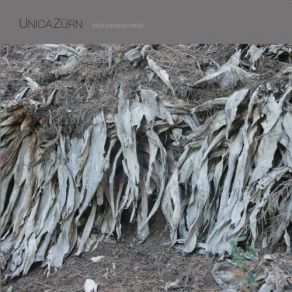 Download track Pale Salt Seam 3 UnicaZürn