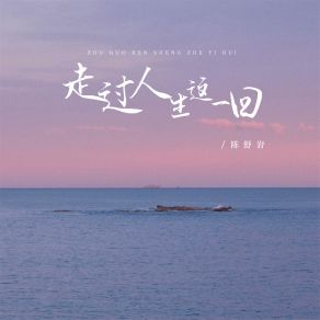 Download track 走过人生这一回 (DJ版) 陈舒岩德朋