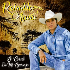 Download track Amor Fugaz Reinaldo Acuña