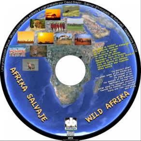 Download track 10 - Wild Afrika DAVID BAYON - TAVITA