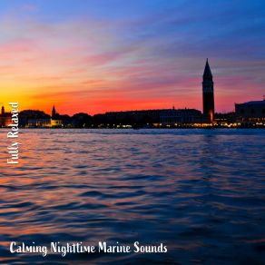 Download track Calming Nighttime Marine Sounds, Pt. 11 Steve Brassel