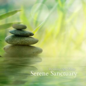 Download track Gentle Stream Relaxing Spa Music