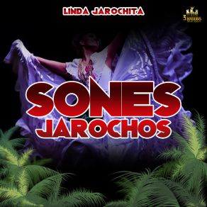 Download track Jarocho Del Sur Sones Jarochos