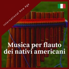 Download track Musica Per Flauto Dei Nativi Americani International New Age