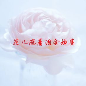 Download track 如果心酸藏不住那就假装很幸福 是海哥呀