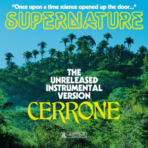 Download track Supernature (Instrumental Climax Edit) Cerrone