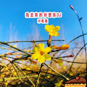 Download track 我是真的好想你 (DJ对唱版伴奏) 何仙子