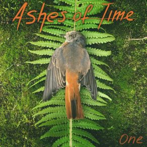 Download track Time To Say Goodbye Ashes Of Time