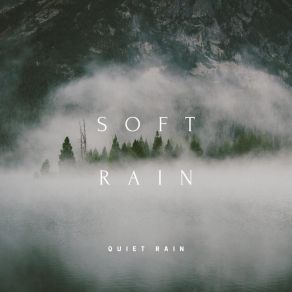 Download track Rain For Calm Quiet Rain