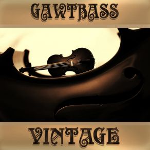 Download track Vintage Gawtbass