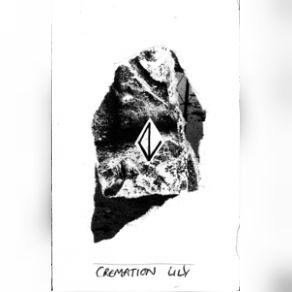 Download track Part Two Cremation Lily