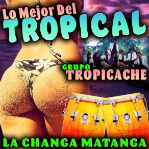 Download track La Changa Matanga Grupo Tropicache