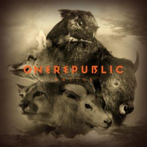 Download track Burning Bridges (Acoustic) OneRepublic