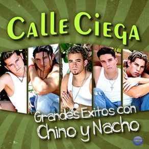 Download track Solo Te Quiero Amar (Chino Y Nacho) Calle Ciega