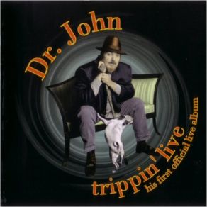 Download track Goodnight Irene (Live) Dr. John