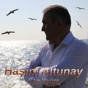 Download track Sen Benim Halimden Anlayamassın Haşim Altunay