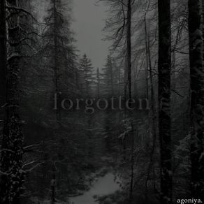 Download track Forgotten Agoniya.