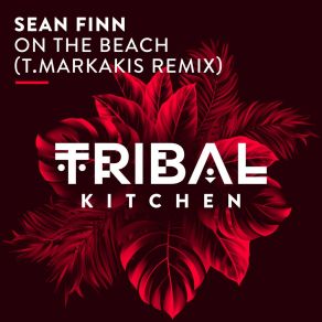 Download track On The Beach (T. Markakis Radio Sunset Mix) Sean FinnT. Markakis