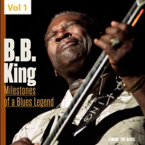 Download track Take A Swing With Me B. B. King