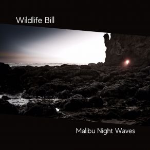 Download track Hear The Distant Waves Wildlife Bill