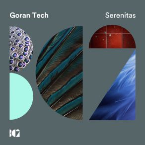 Download track Serenitas (Original Mix) Goran Tech