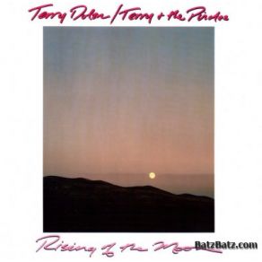 Download track Still Twilight Terry And The Pirates