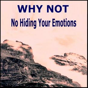 Download track No Hiding Your Emotion Why Not