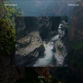 Download track Miracle (Original Mix) Brandman