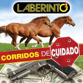 Download track El Transformer Y La Cobra Grupo Laberinto