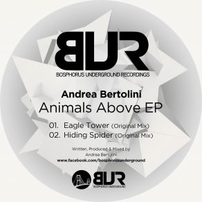 Download track Eagle Tower (Original Mix) Andrea Bertolini