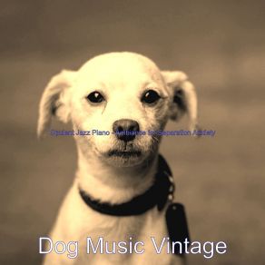 Download track Glorious Music For Resting Dogs Dog Music Vintage