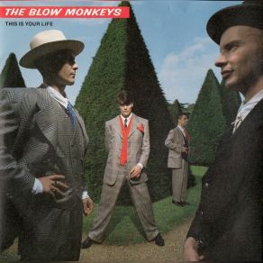 Download track This Day Today The Blow Monkeys