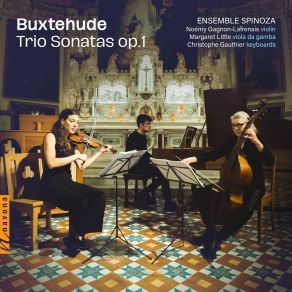 Download track 06. Trio Sonata No. 6 In D Minor, BuxWV 257 Dieterich Buxtehude