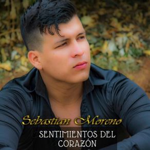 Download track Sentimientos Del Corazón Sebastian Moreno