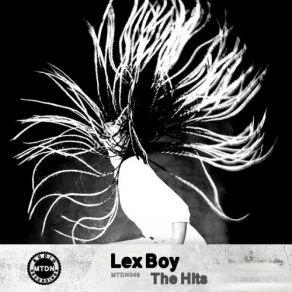 Download track Raw & Black System (Original Mix) Lex Boy