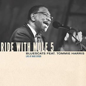 Download track Georgia On My Mind (Live) Tommie Harris, The Bluescats