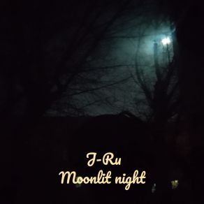 Download track Nice Night J. Ru