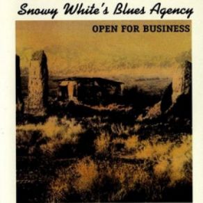 Download track I Want Your Love Snowy White'S Blues Agency