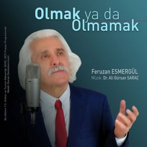 Download track Böyle Olur Mu Feruzan Esmergül