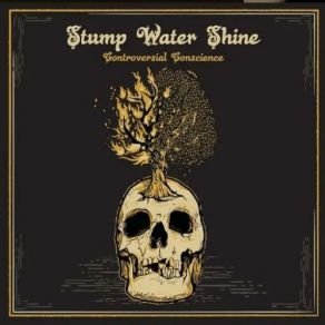 Download track As The Crow Flies Stump Water Shine