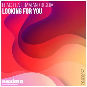 Download track Looking For You (Extended Mix) ElaicDamiano Di Gioia