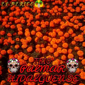 Download track La Rueda TRIO PALMAR HIDALGUENSE