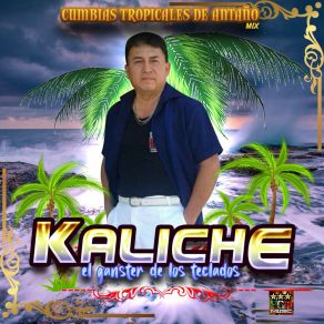 Download track Huy Que Miedo Kaliche El Ganster De Los Teclados