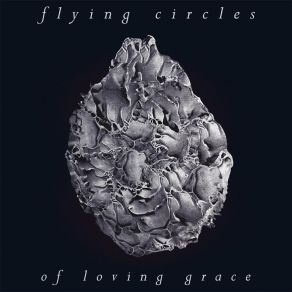 Download track Green Ennui Flying Circles