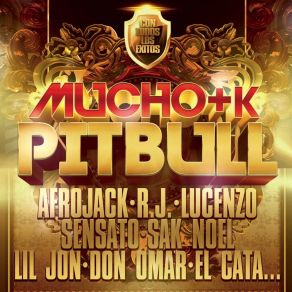 Download track Get Up - Levantate Pitbull