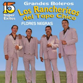 Download track Cuatro Milpas Los Rancheritos Del Topo Chico